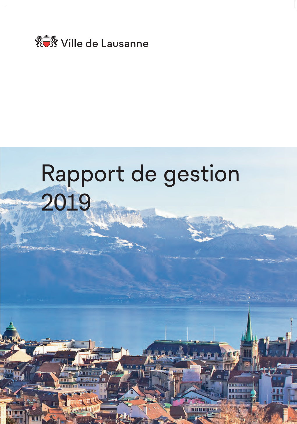 Rapport De Gestion 2019