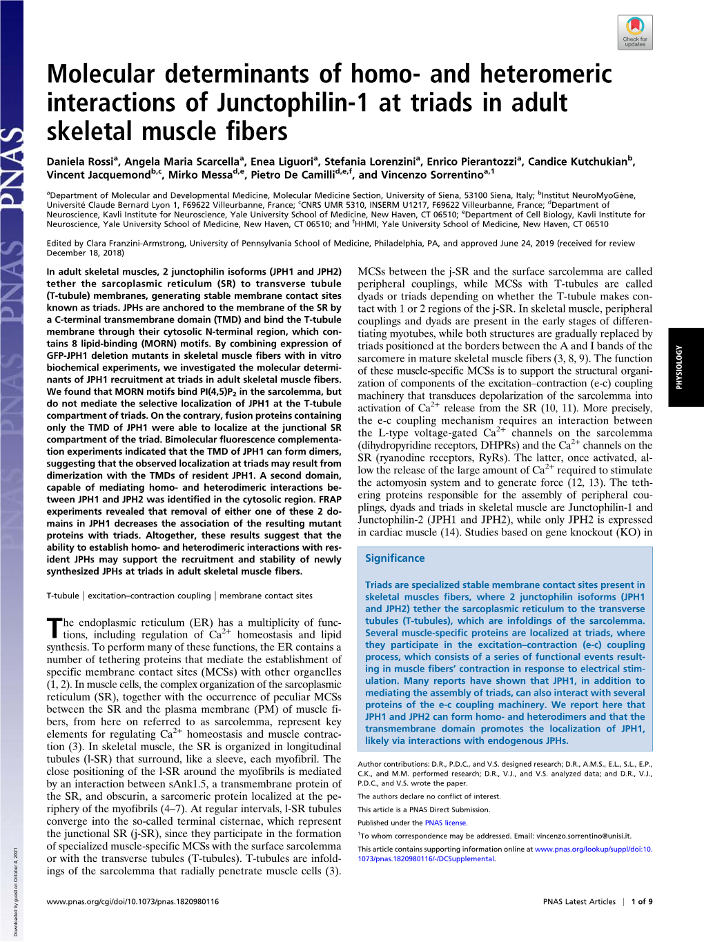 And Heteromeric Interactions of Junctophilin-1 at Triads in Adult Skeletal Muscle Fibers