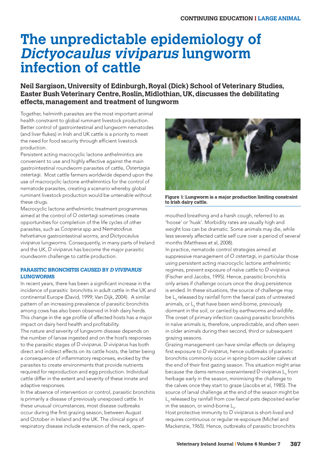 Dictyocaulus Viviparus Lungworm Infection of Cattle