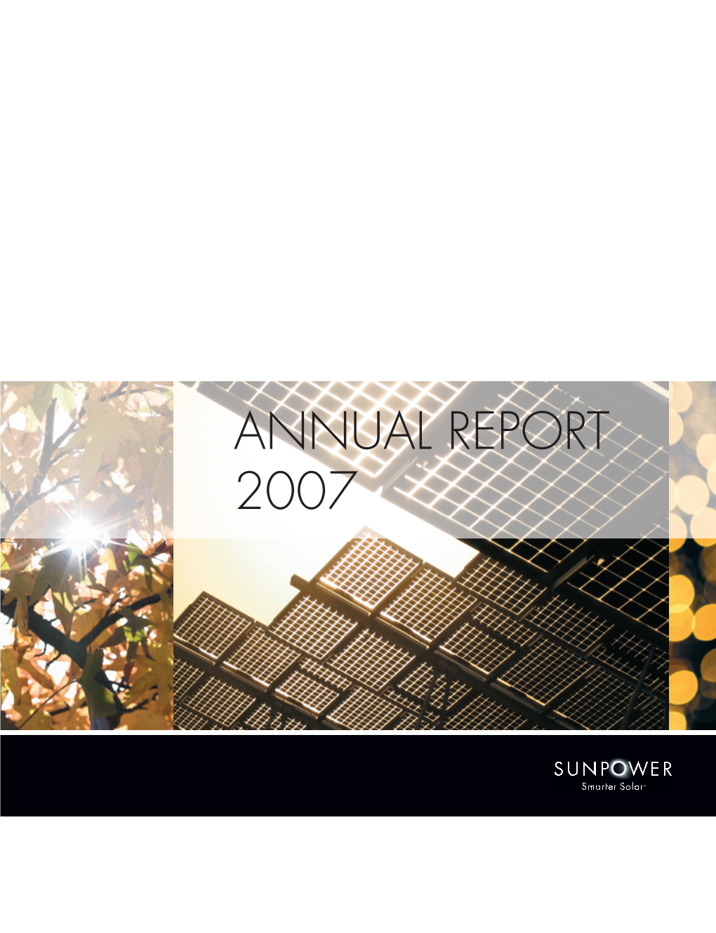 Annual Report 2007