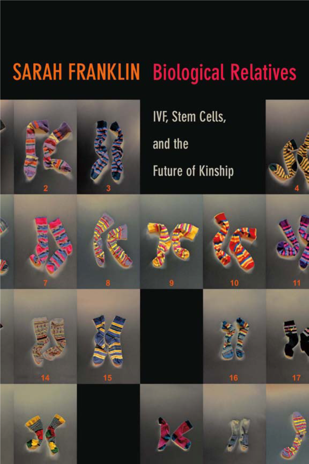 Biological Relatives: IVF, Stem Cells, and the Future of Kinship