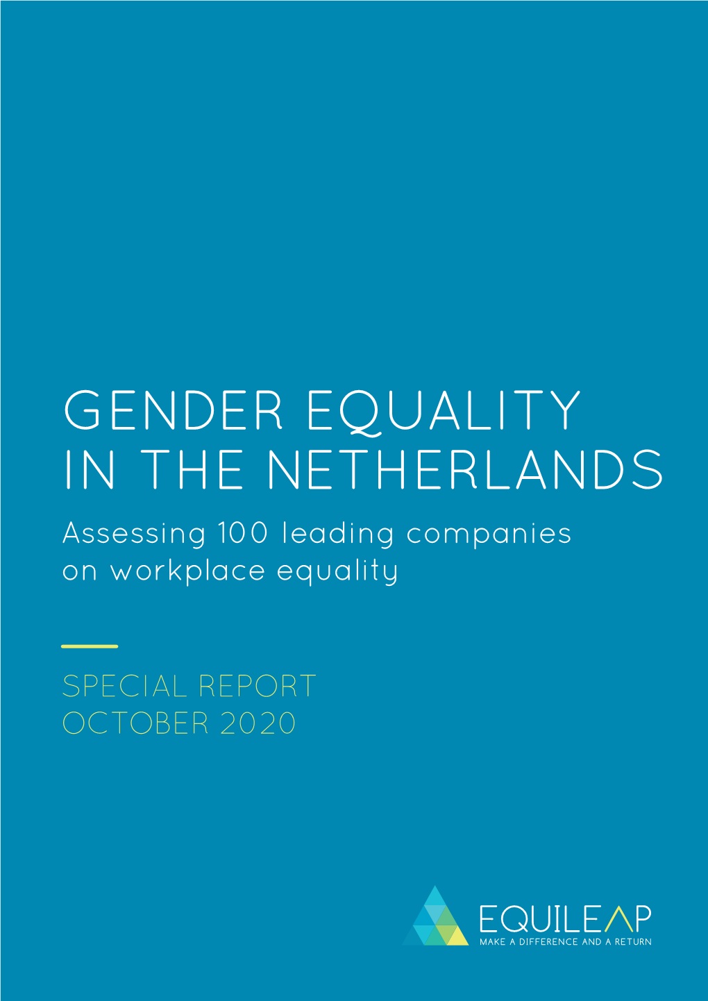 GENDER EQUALITY in the NETHERLANDS Assessing 100 Leading Companies on Workplace Equality