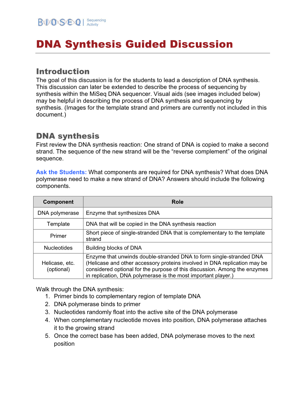 DNA Synthesis Guided Discussion