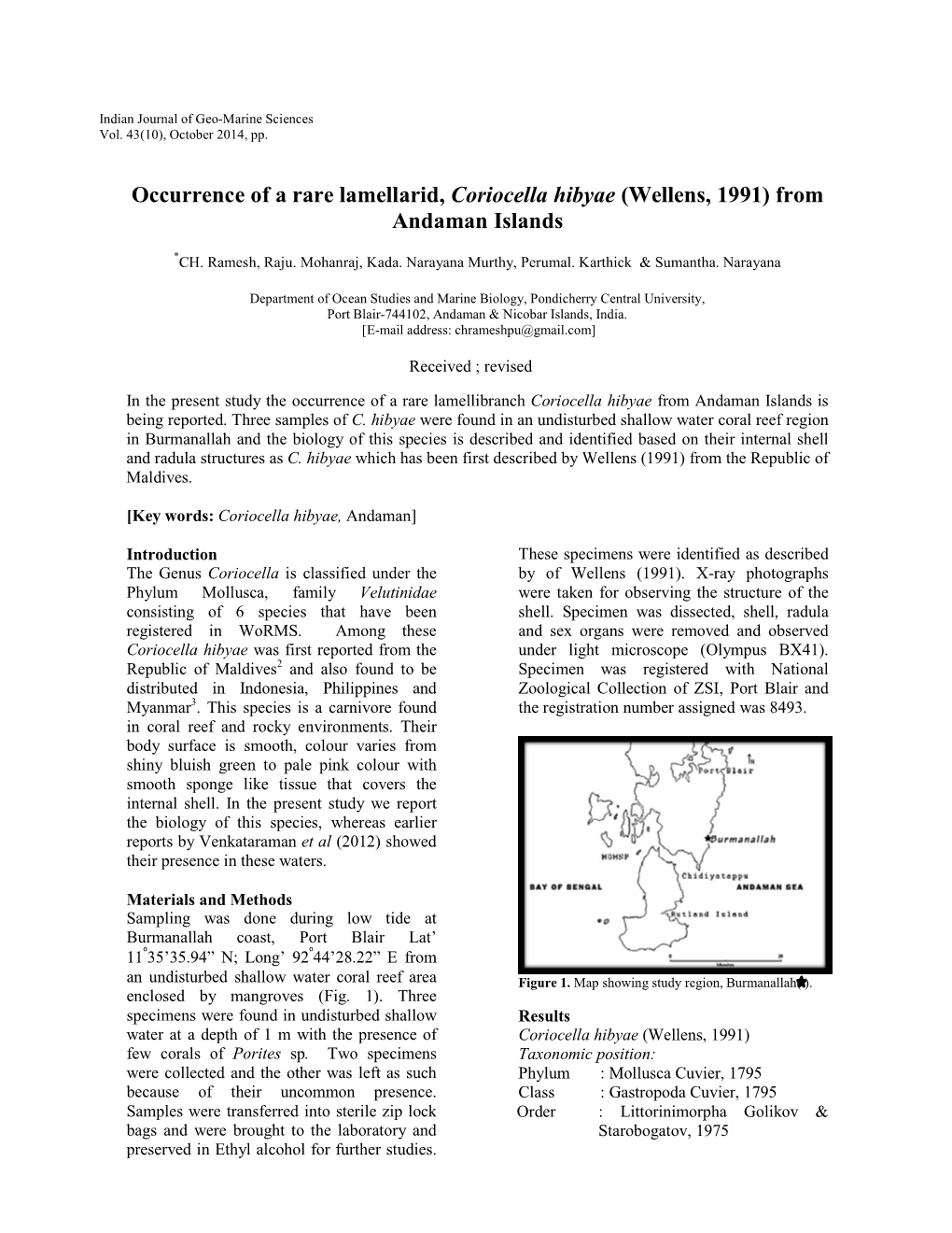 Occurrence of a Rare Lamellarid, Coriocella Hibyae (Wellens, 1991) from Andaman Islands