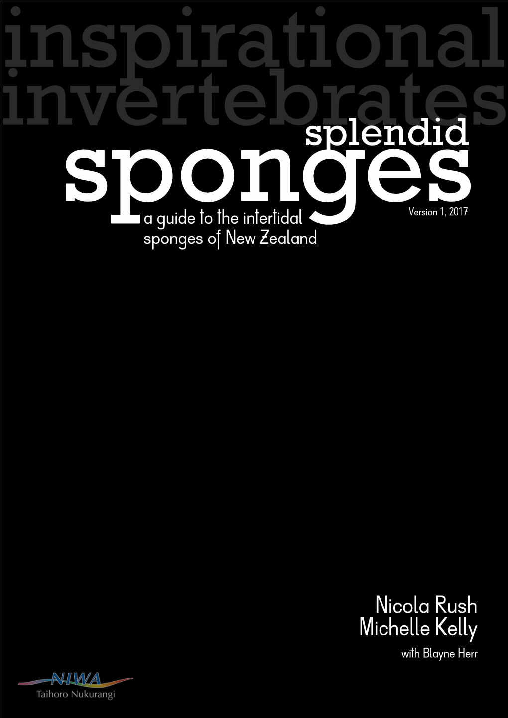 Splendid Sponges (Intertidal)