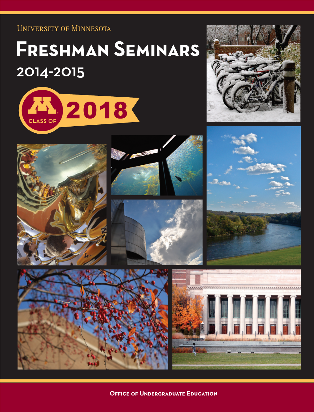 Freshman-Seminars-2014.Pdf