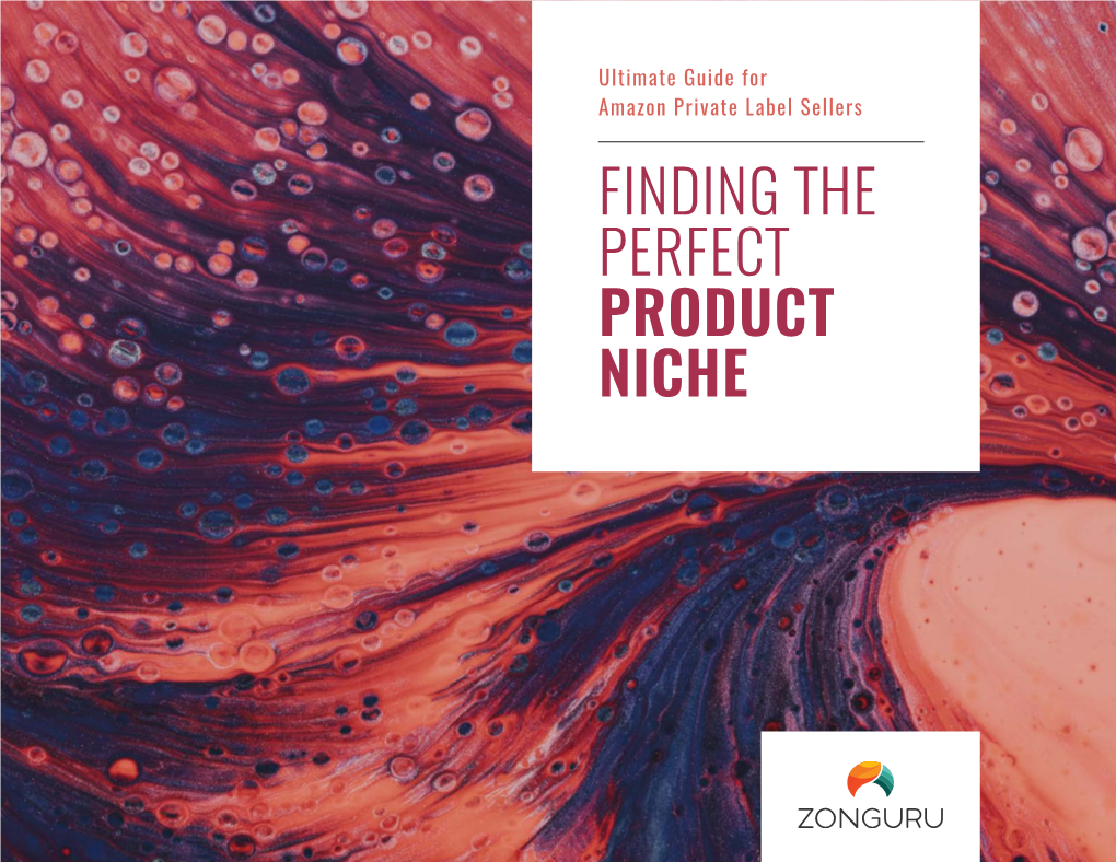 Finding the Perfect Product Niche