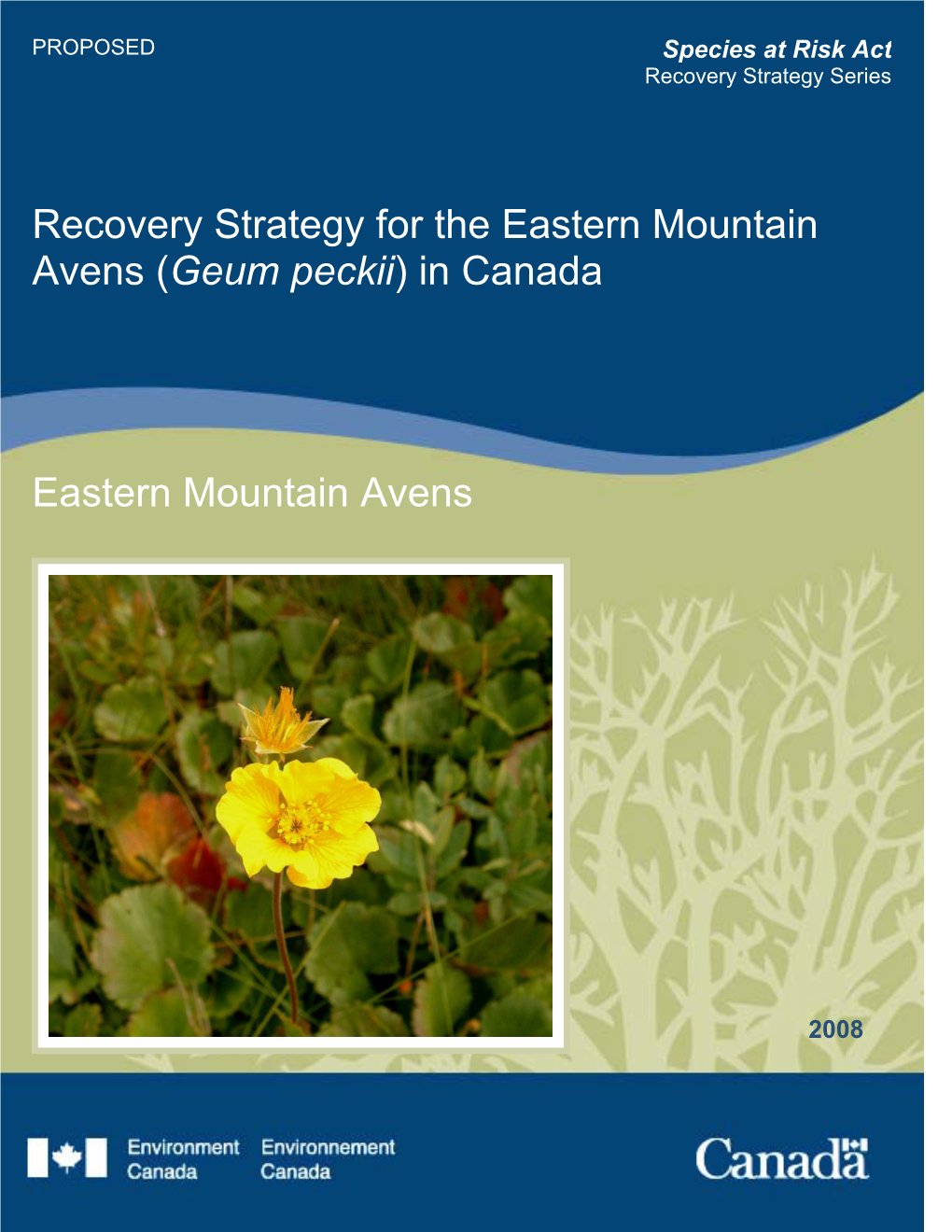 Recovery Strategy for the Eastern Mountain Avens (Geum Peckii) in Canada