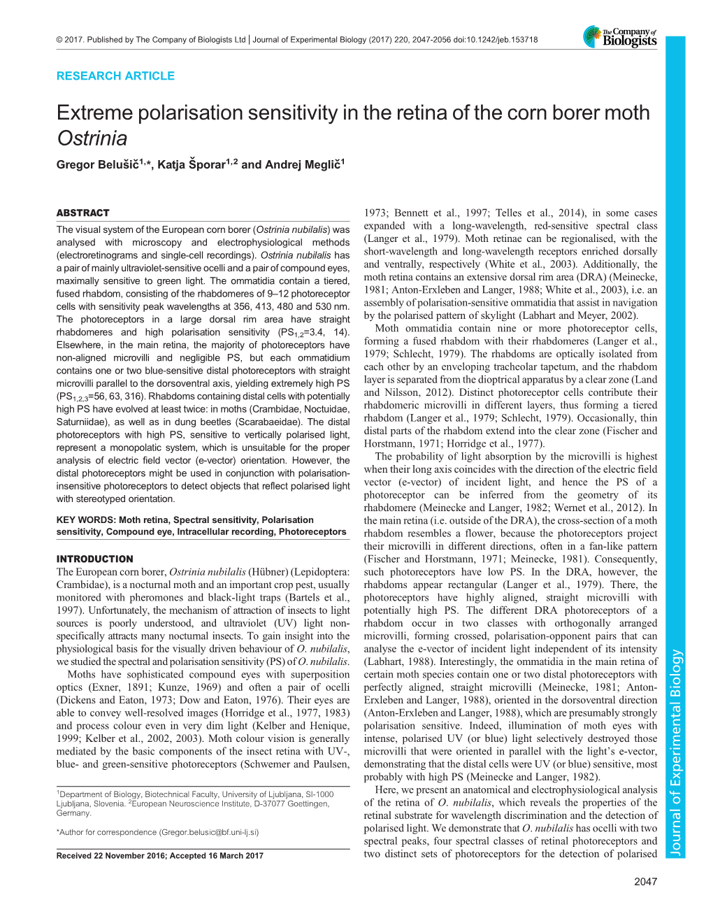 Extreme Polarisation Sensitivity in the Retina of the Corn Borer Moth Ostrinia Gregor Belušič1,*, Katja Šporar1,2 and Andrej Meglič1