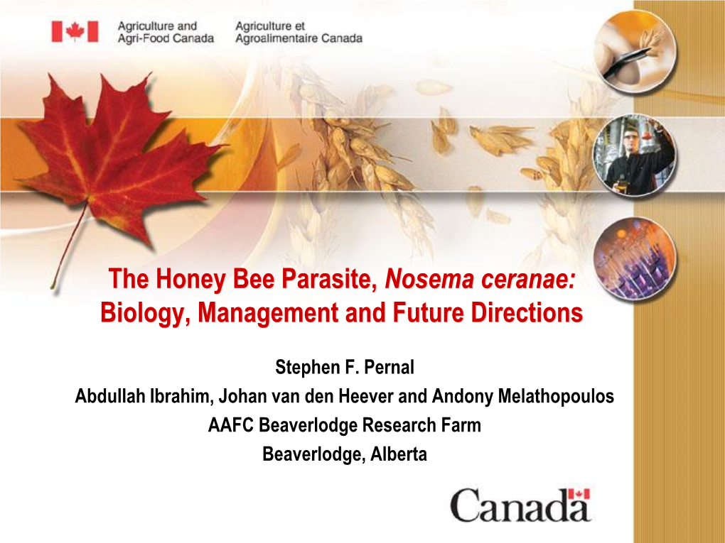 The Honey Bee Parasite, Nosema Ceranae: Biology, Management and Future Directions