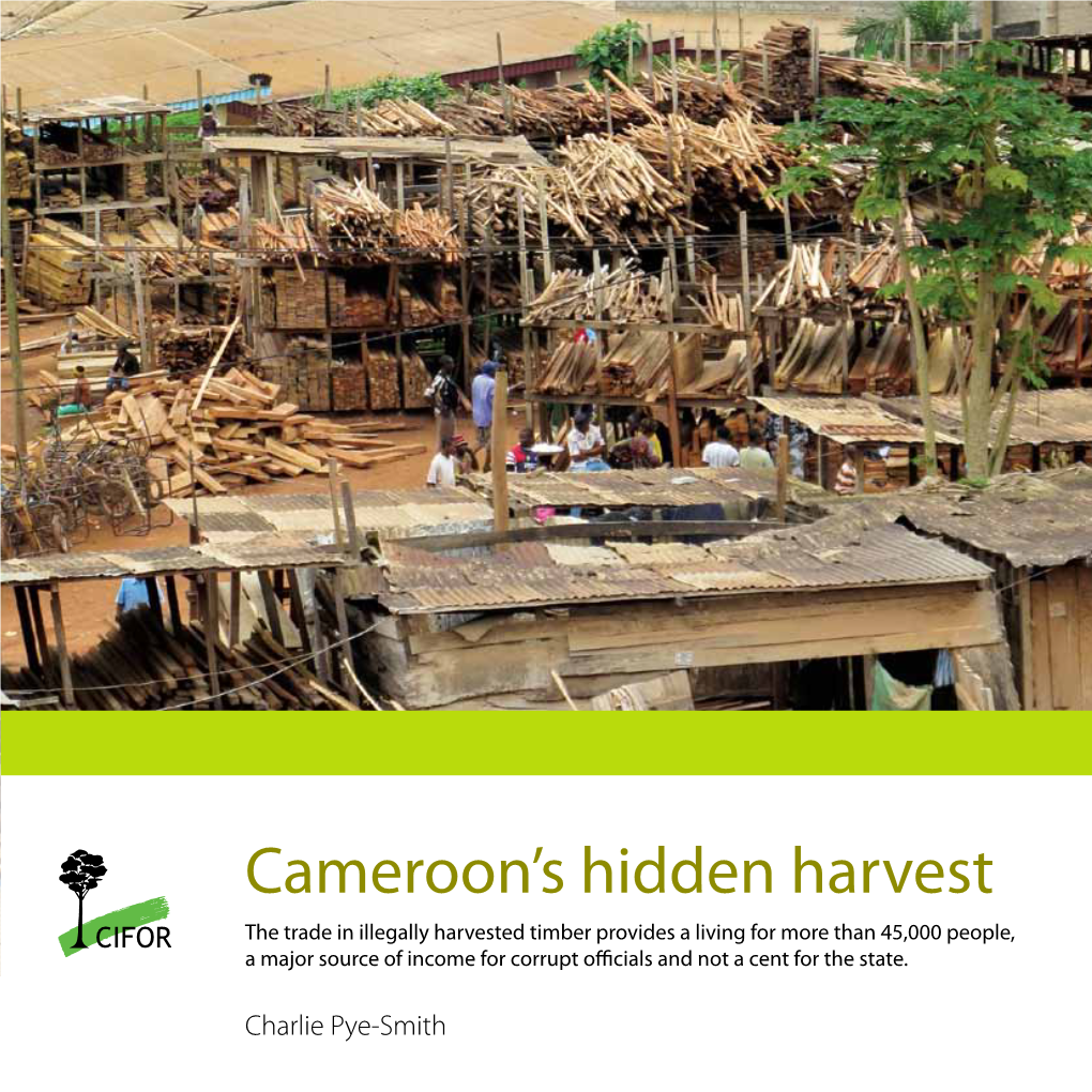 Cameroon's Hidden Harvest