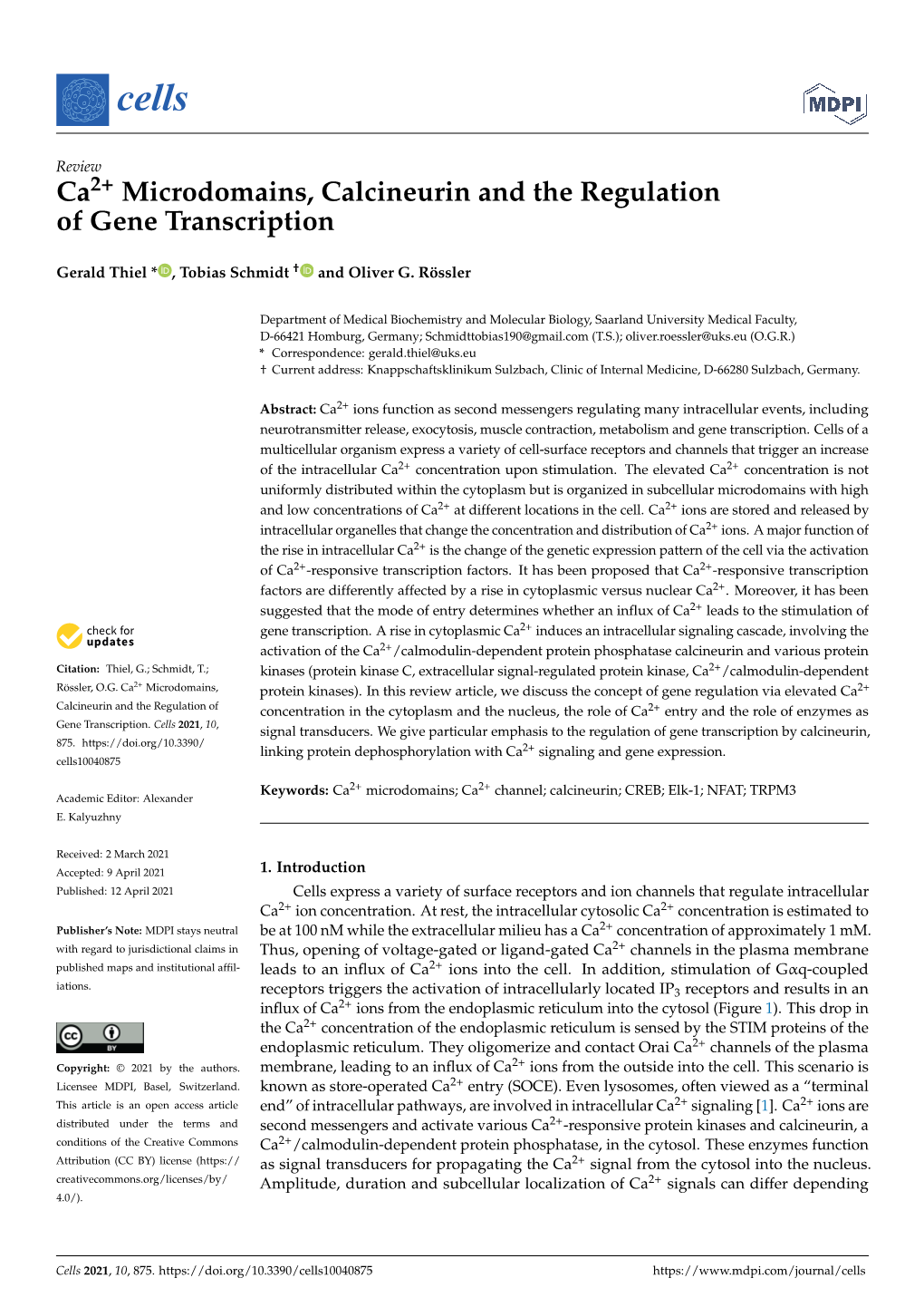 Ca2+ Microdomains, Calcineurin and the Regulation of Gene Transcription