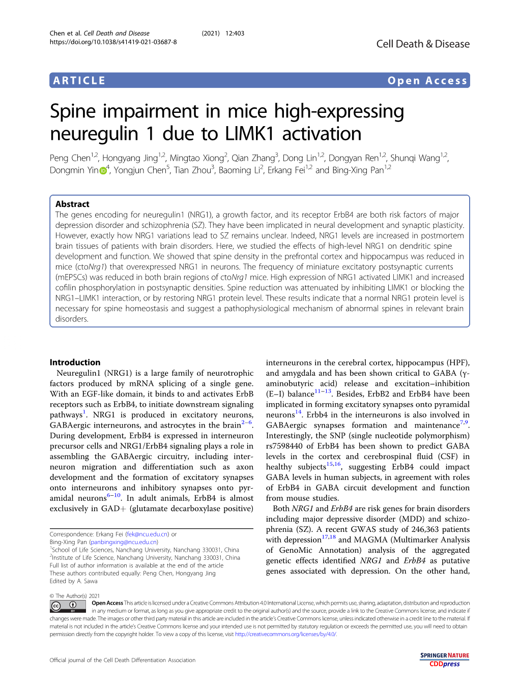 Spine Impairment in Mice High-Expressing Neuregulin 1 Due