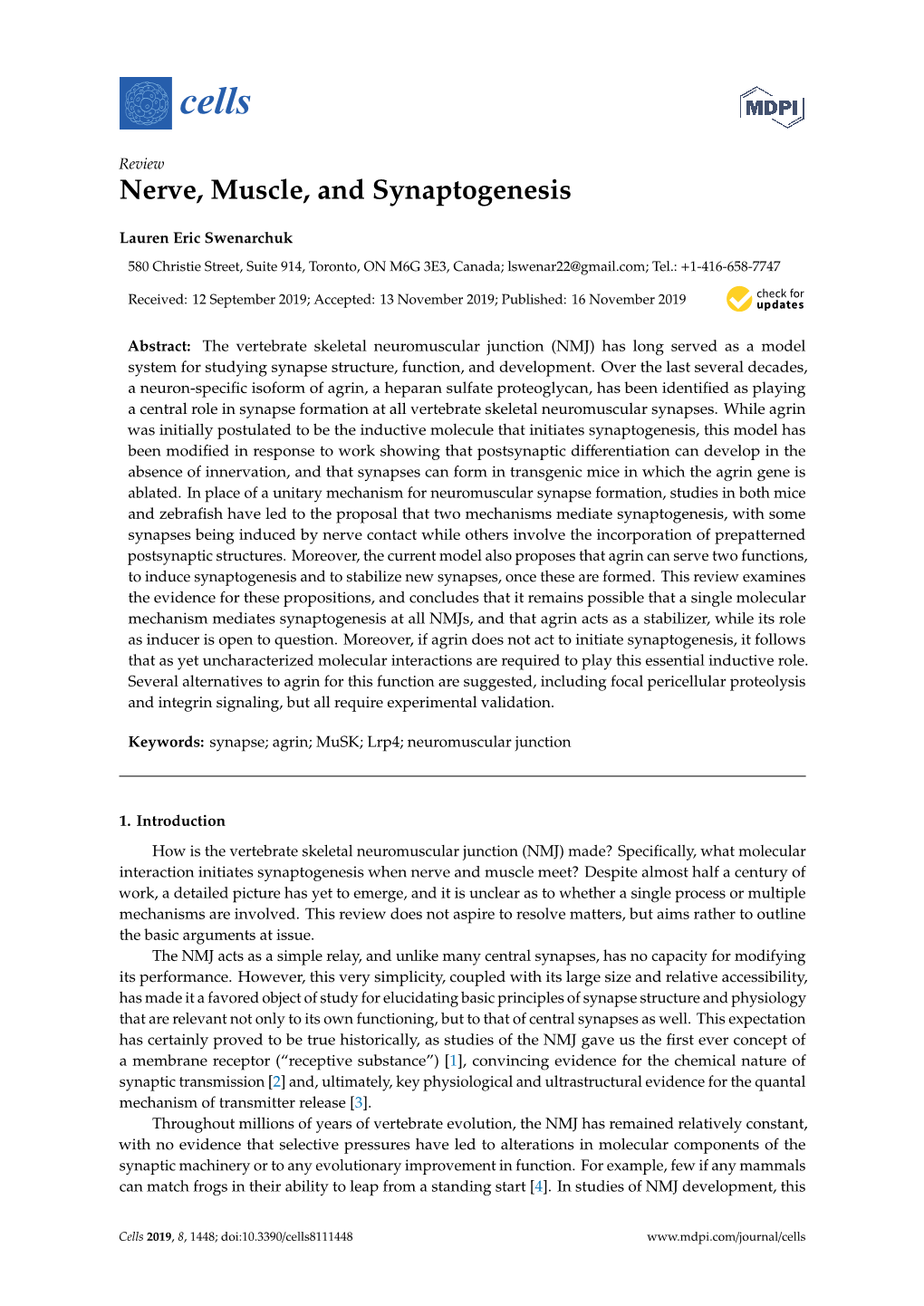 Nerve, Muscle, and Synaptogenesis