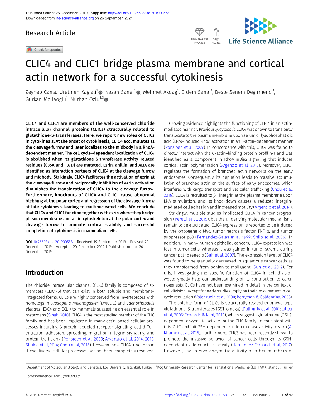 CLIC4 and CLIC1 Bridge Plasma Membrane and Cortical Actin Network for a Successful Cytokinesis