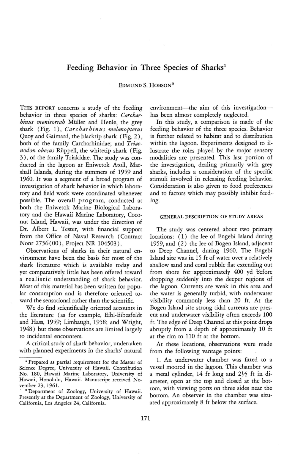 Feeding Behavior in Three Species of Sharksl