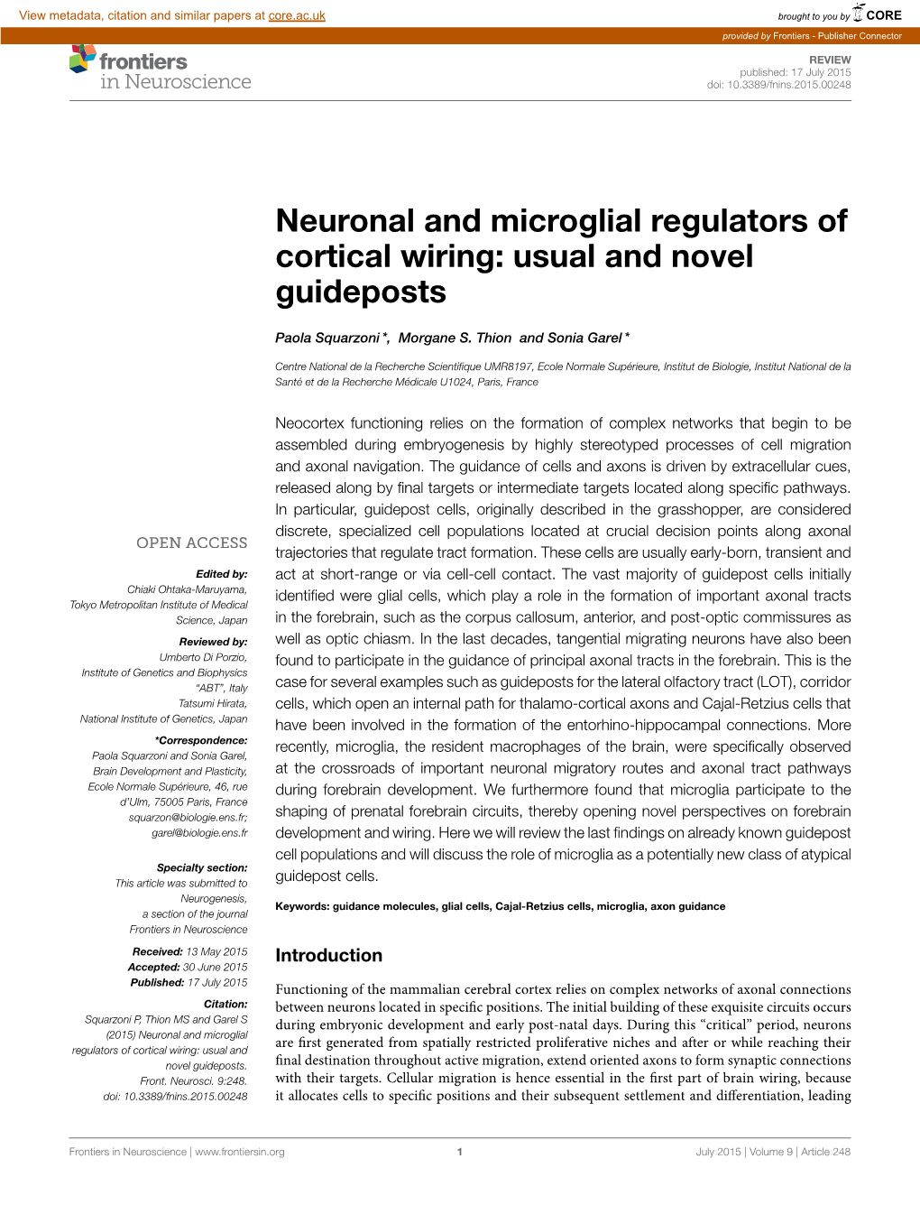 Neuronal and Microglial Regulators of Cortical Wiring: Usual and Novel Guideposts