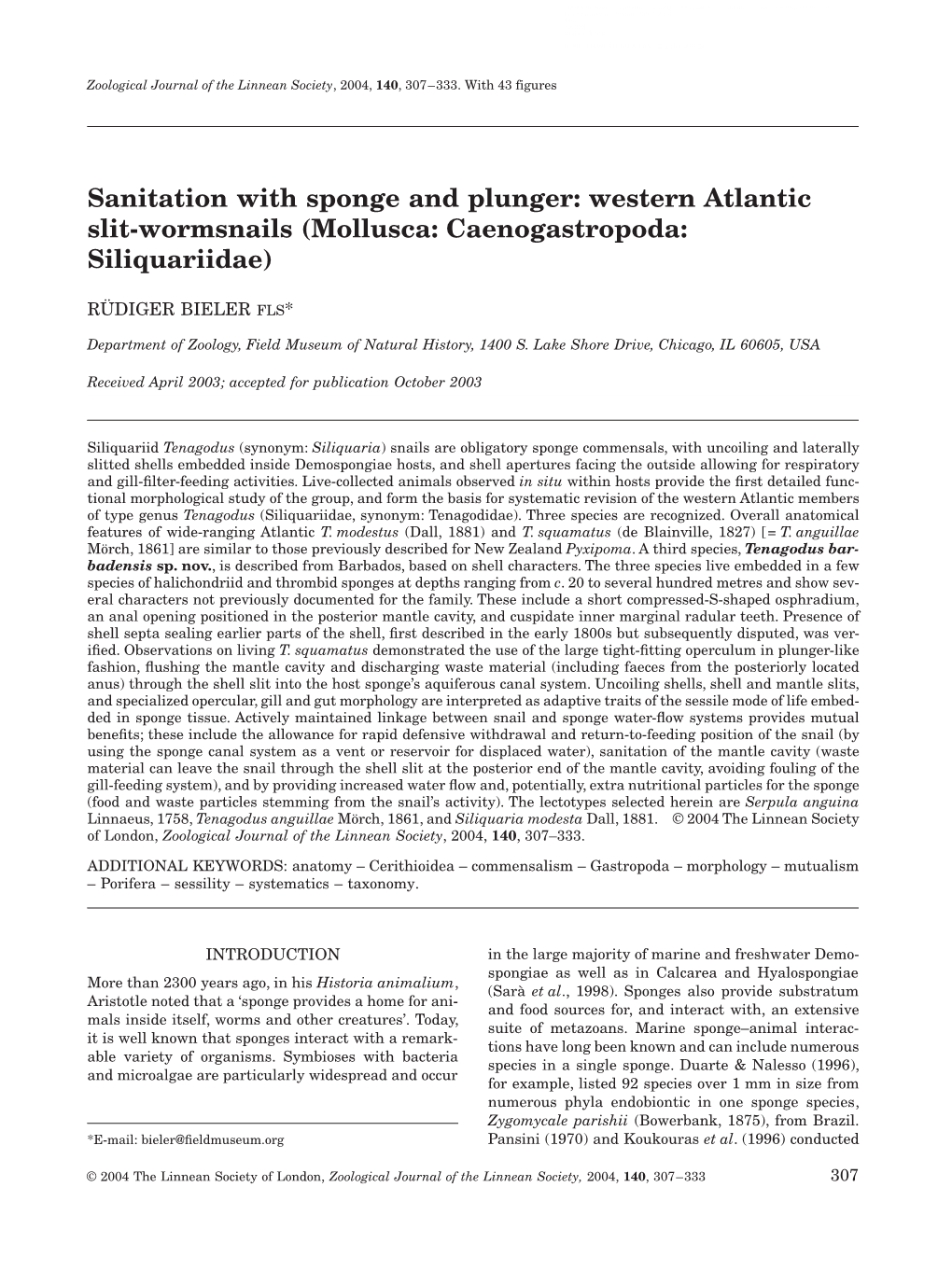 Western Atlantic Slit-Wormsnails (Mollusca: Caenogastropoda: Siliquariidae)