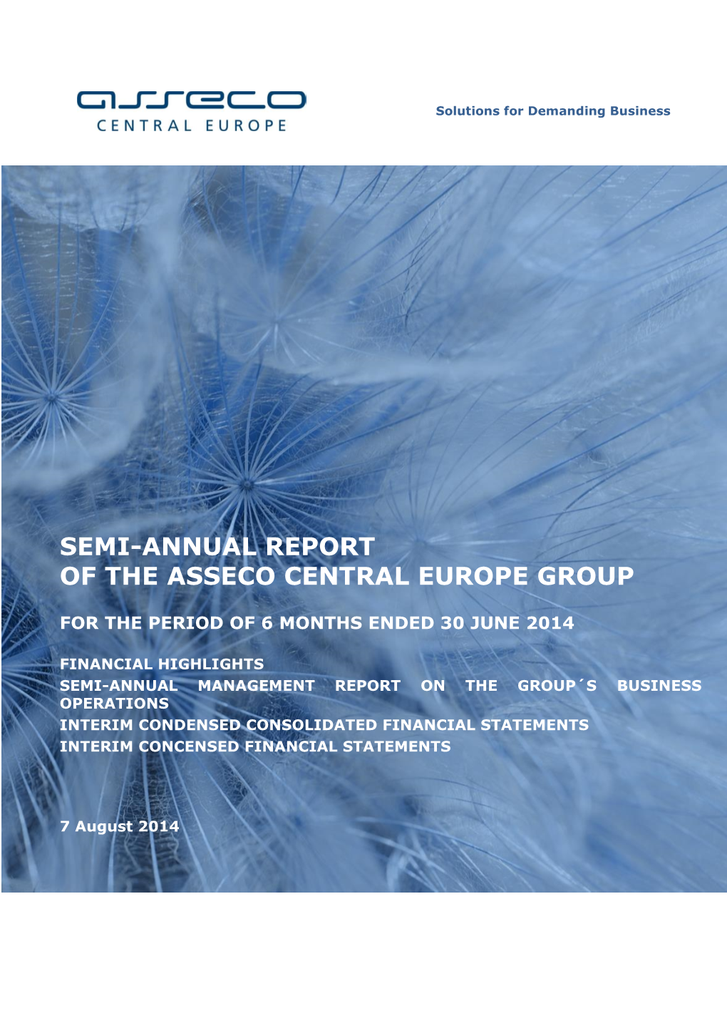 Semi-Annual Report of the Asseco Central Europe Group