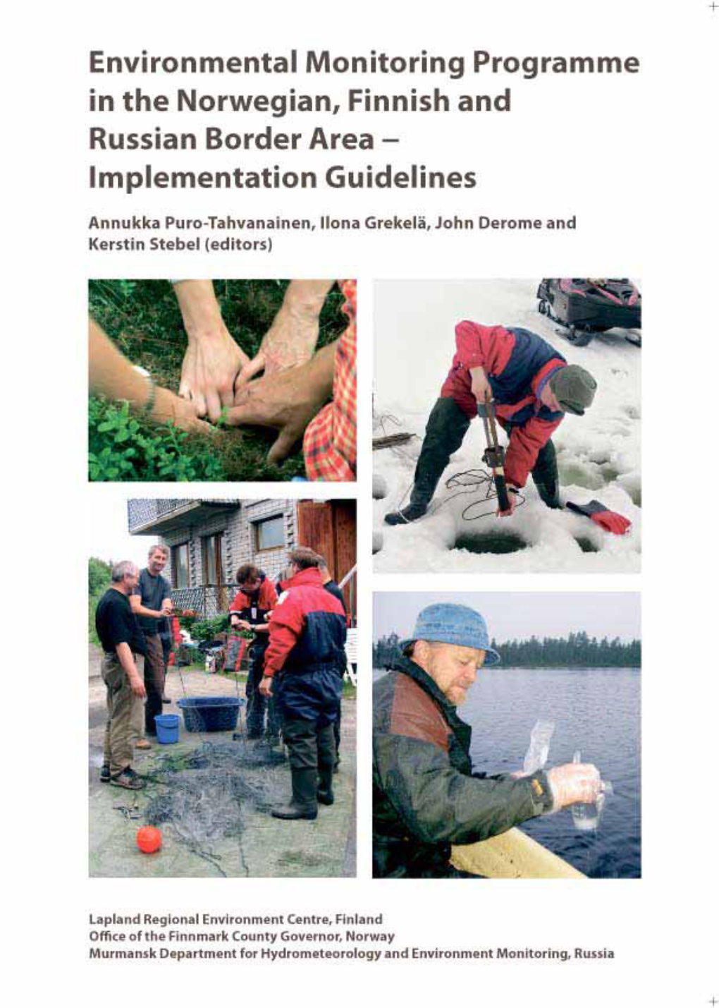 Implementation Guidelines