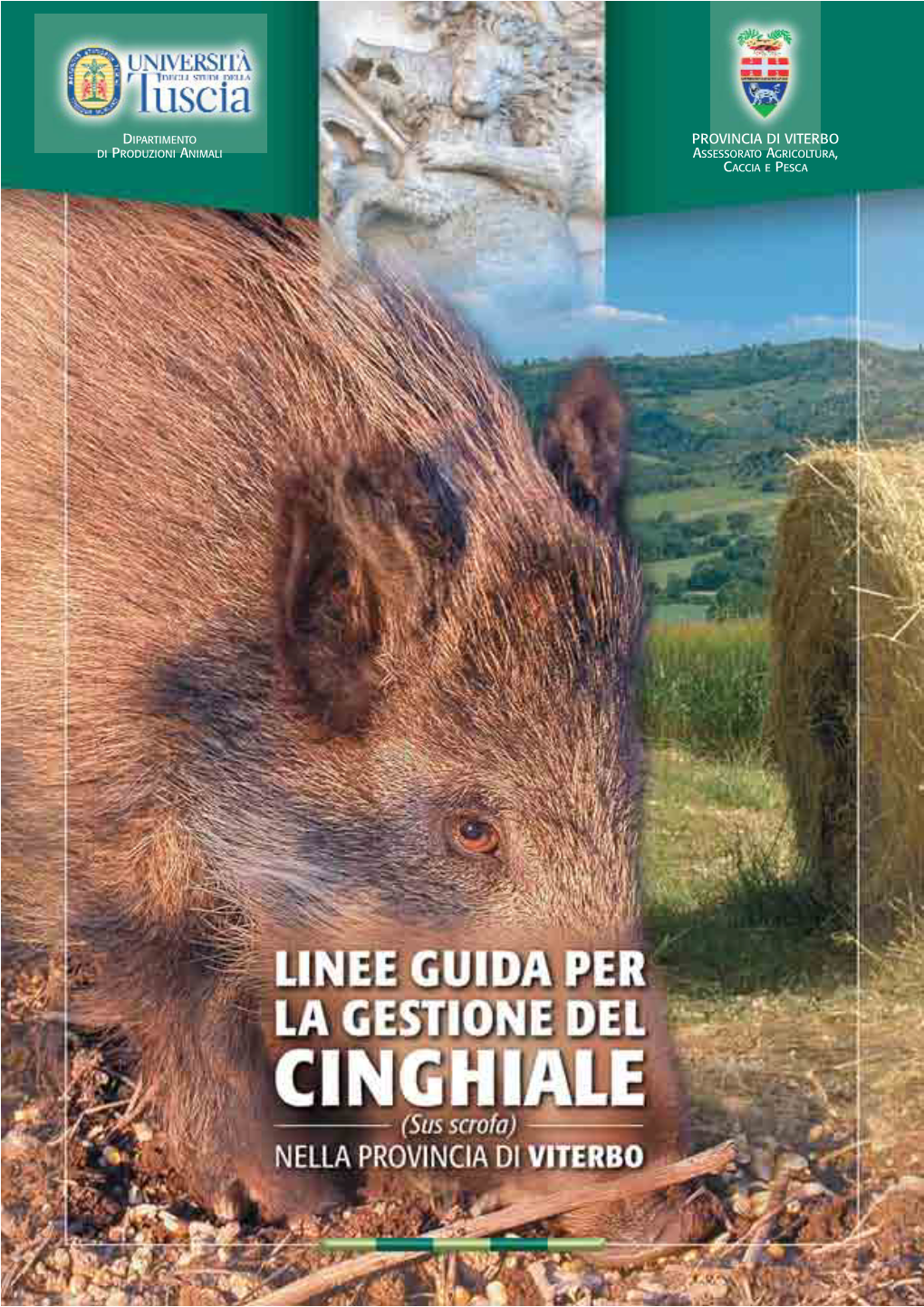 Provincia Di Viterbo Di Produzioni Animali Assessorato Agricoltura, Caccia E Pesca Autori Delle Foto:Ringraziamenti