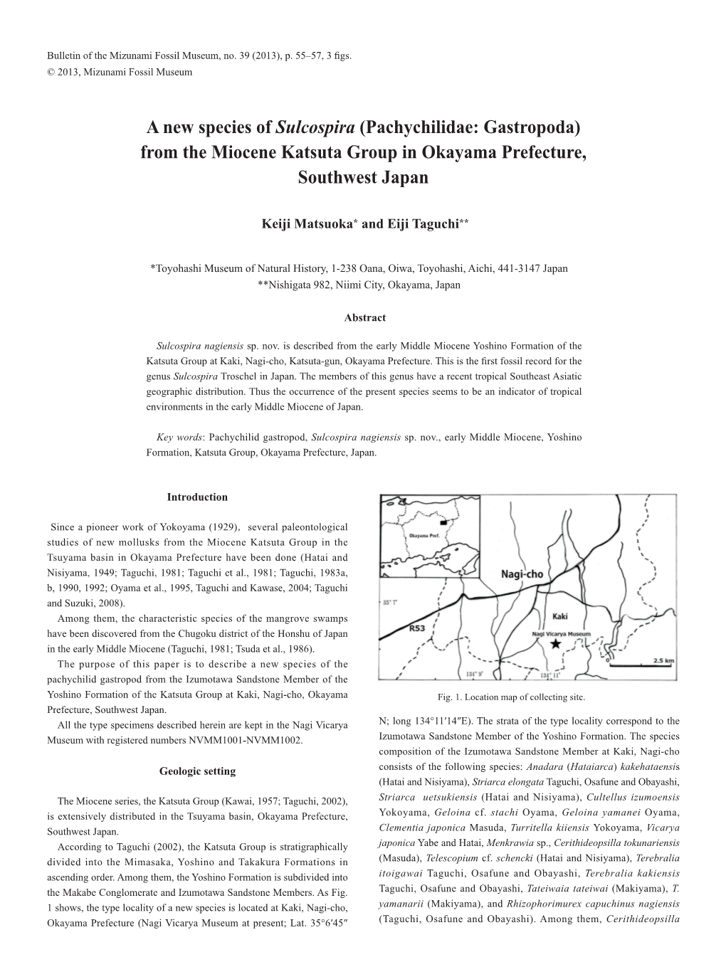 A New Species of Sulcospira (Pachychilidae: Gastropoda) from the Miocene Katsuta Group in Okayama Prefecture, Southwest Japan