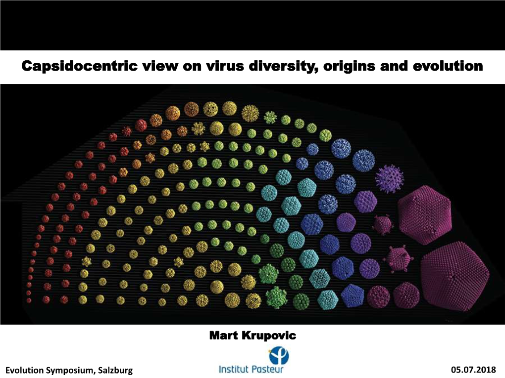 Capsidocentric View on Virus Diversity, Origins and Evolution