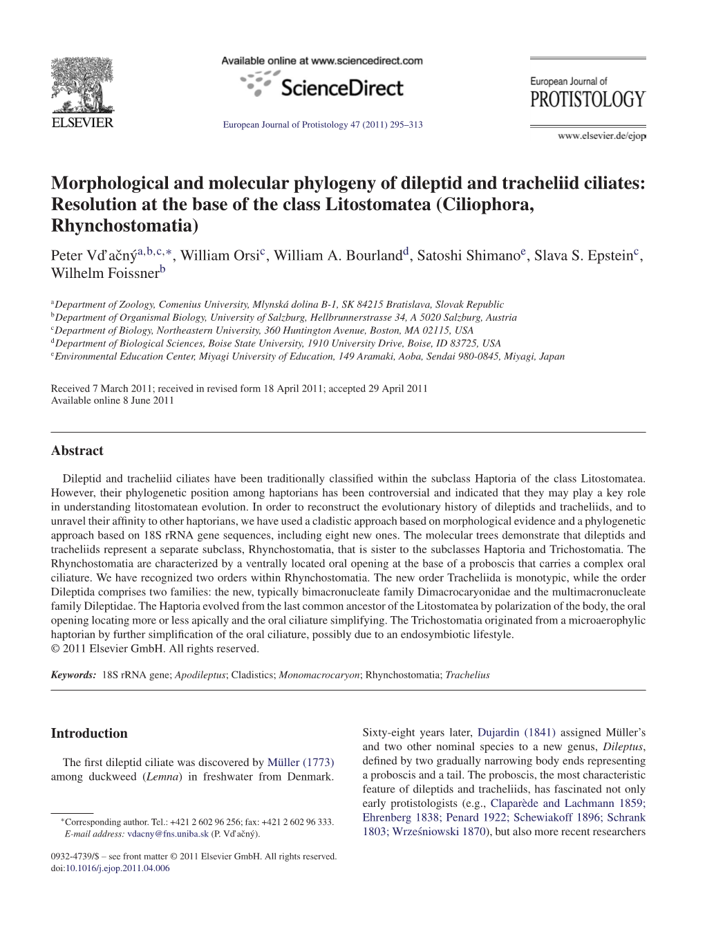 Morphological and Molecular Phylogeny Of