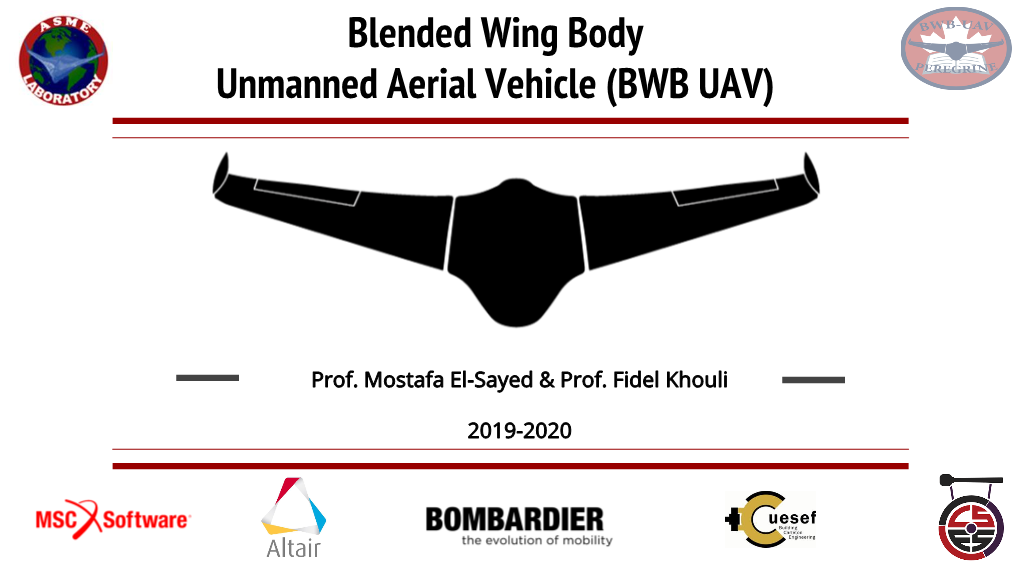 Blended Wing Body Unmanned Aerial Vehicle (BWB UAV)