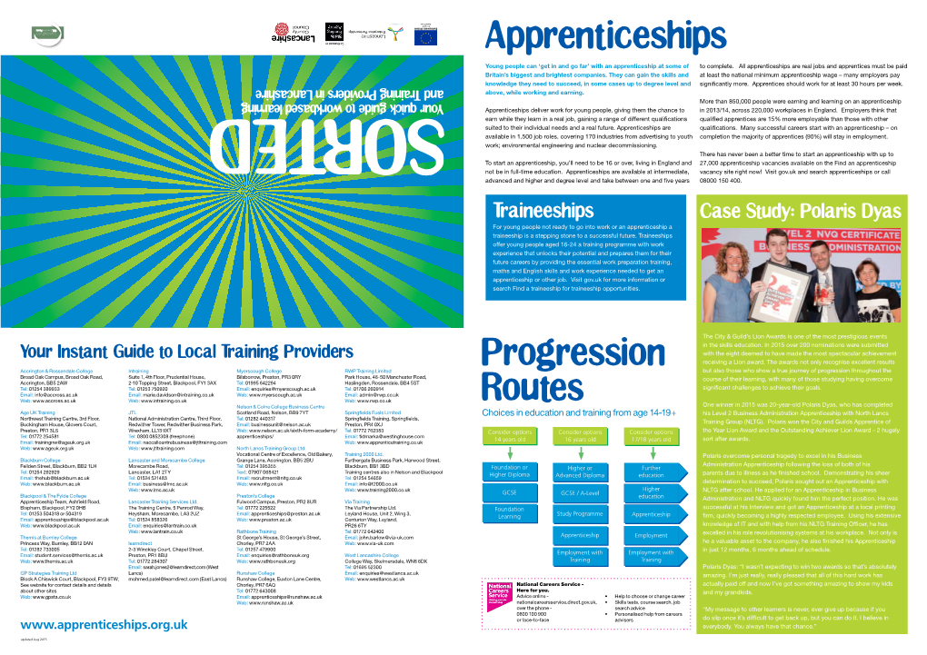 Progression Routes Apprenticeships