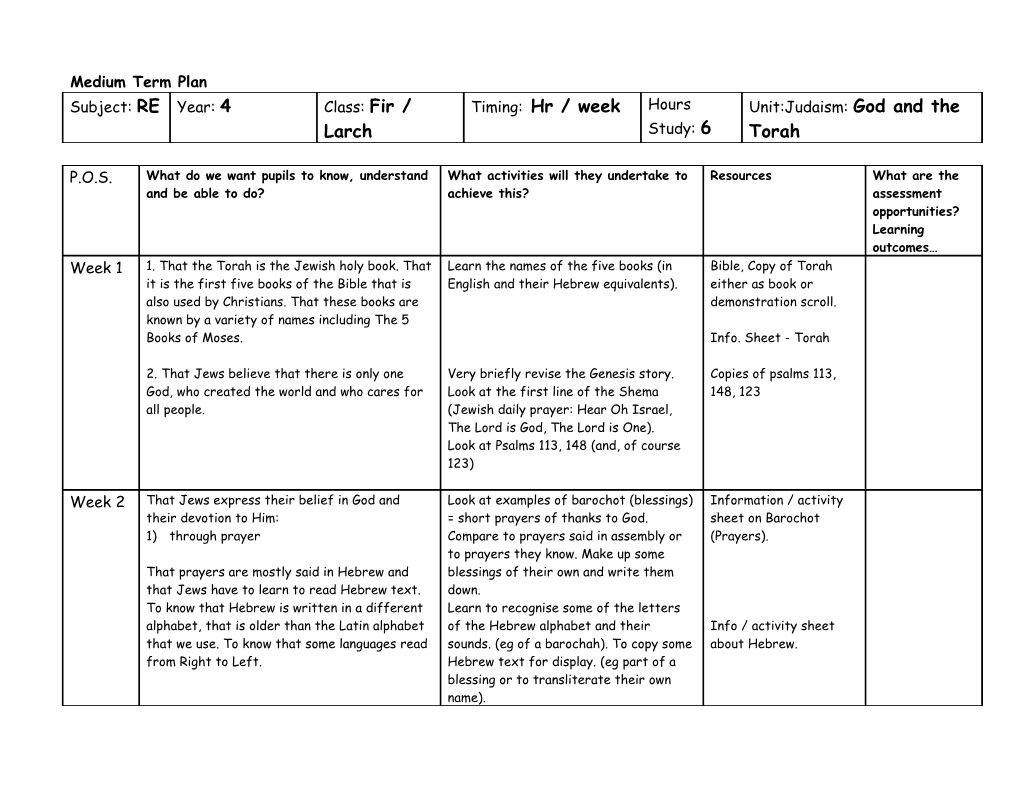 Medium Term Plan