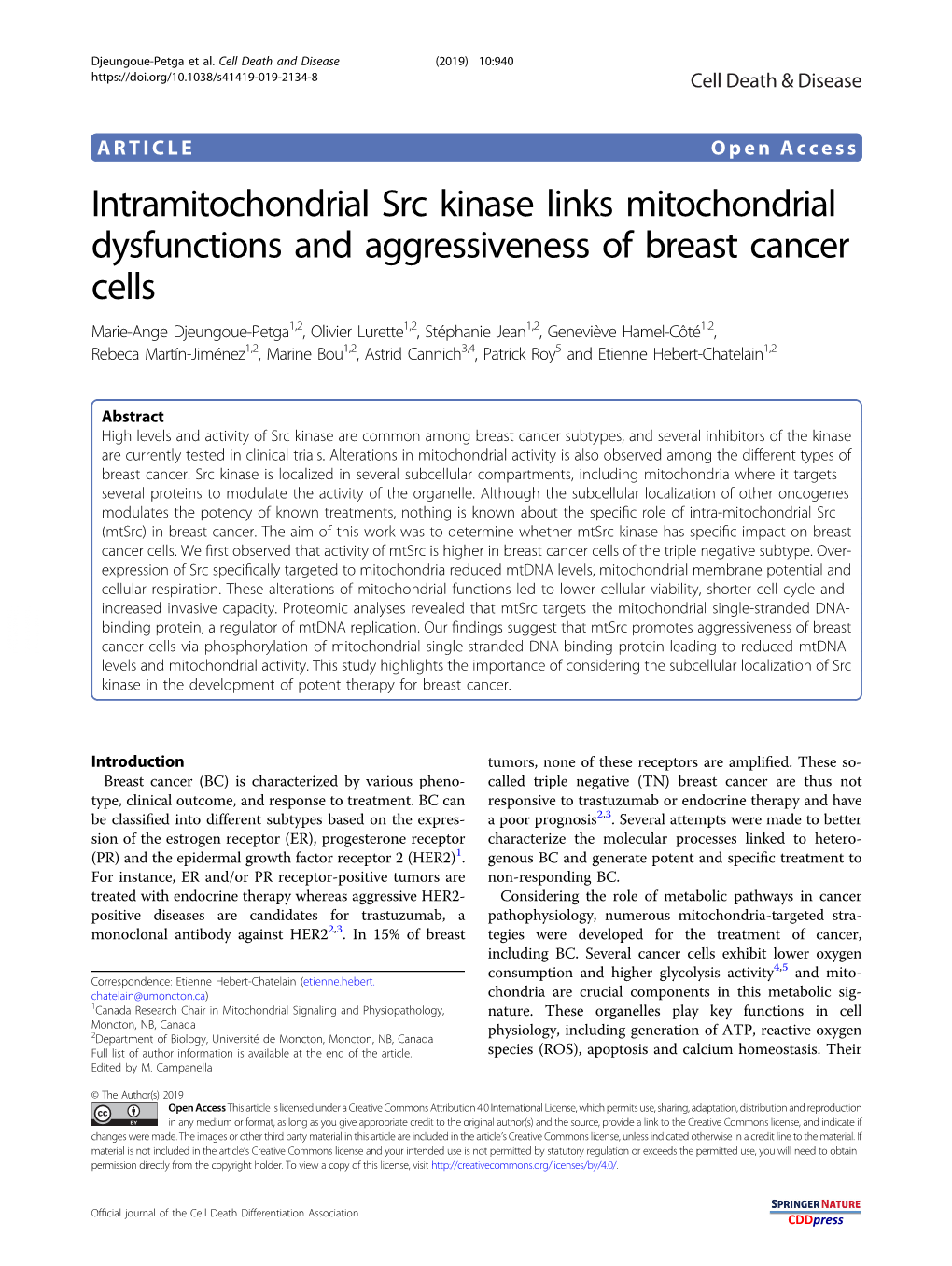 Intramitochondrial Src Kinase Links Mitochondrial Dysfunctions And