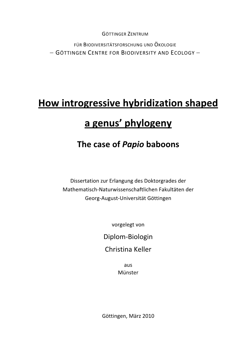 How Introgressive Hybridization Shaped a Genus' Phylogeny