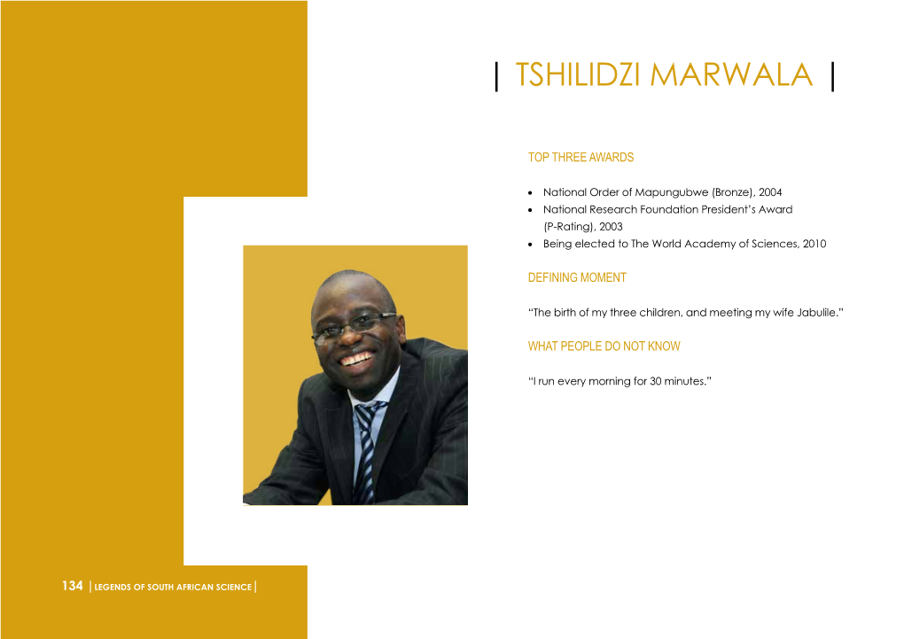 | Tshilidzi Marwala |