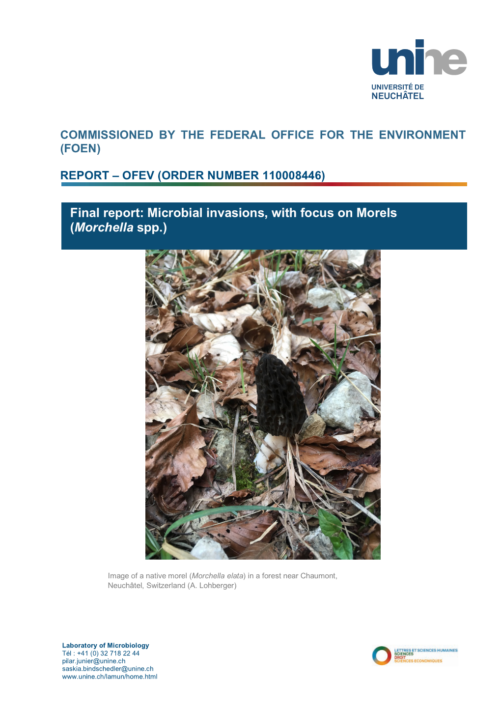 Final Report: Microbial Invasions, with Focus on Morels (Morchella Spp.)