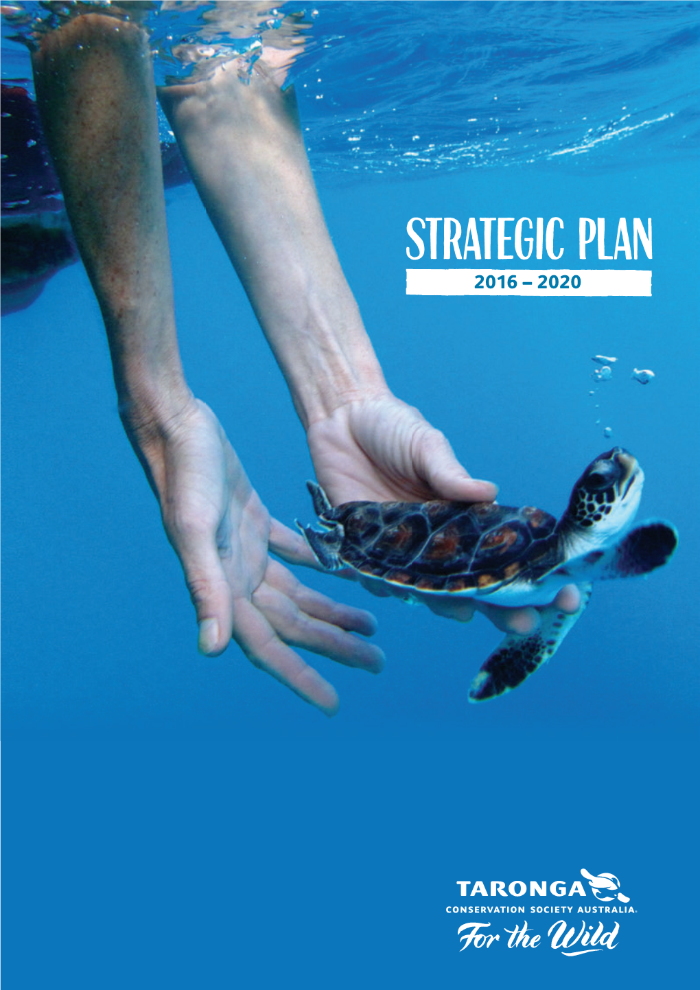 Strategic Plan 2016–2020 Title 3