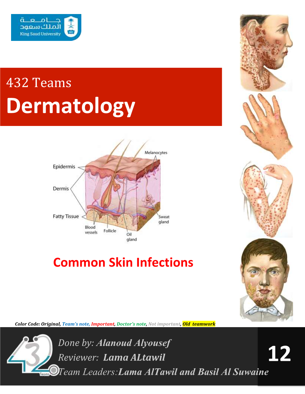 12-Common Skin Infections