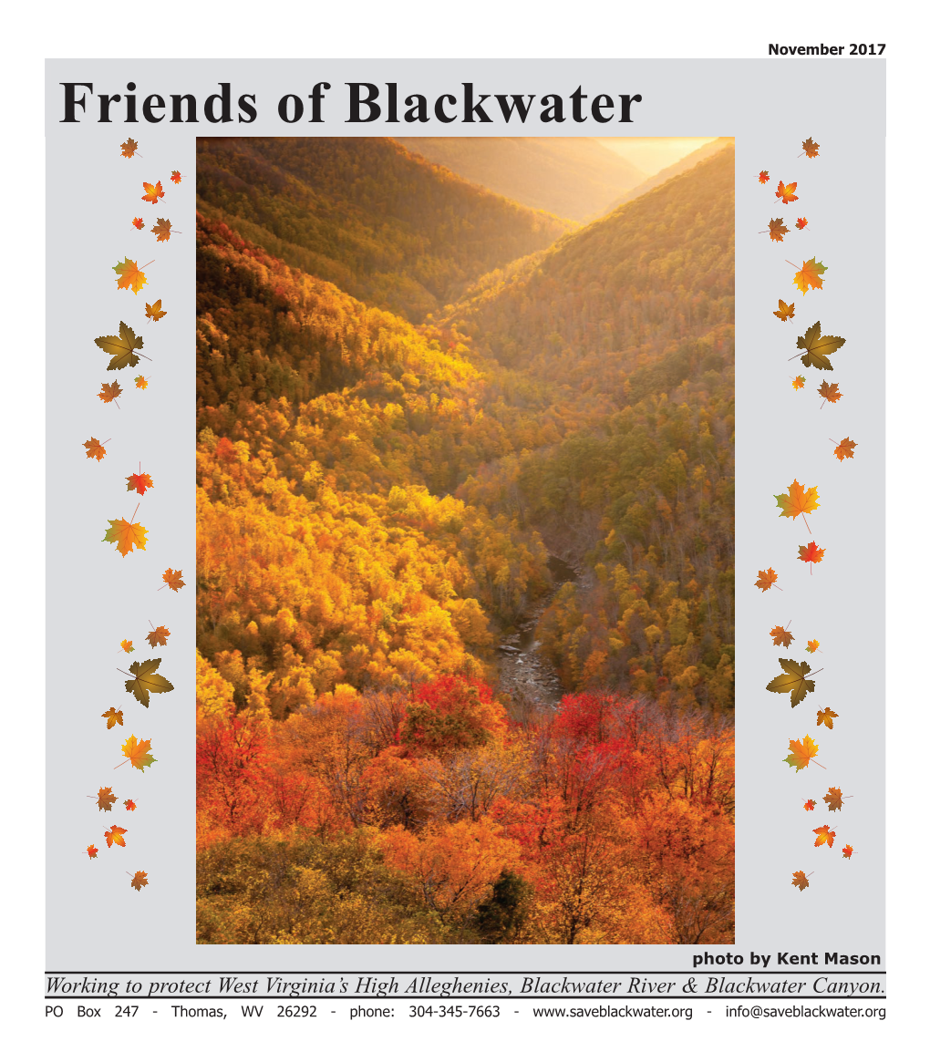 Friends of Blackwater