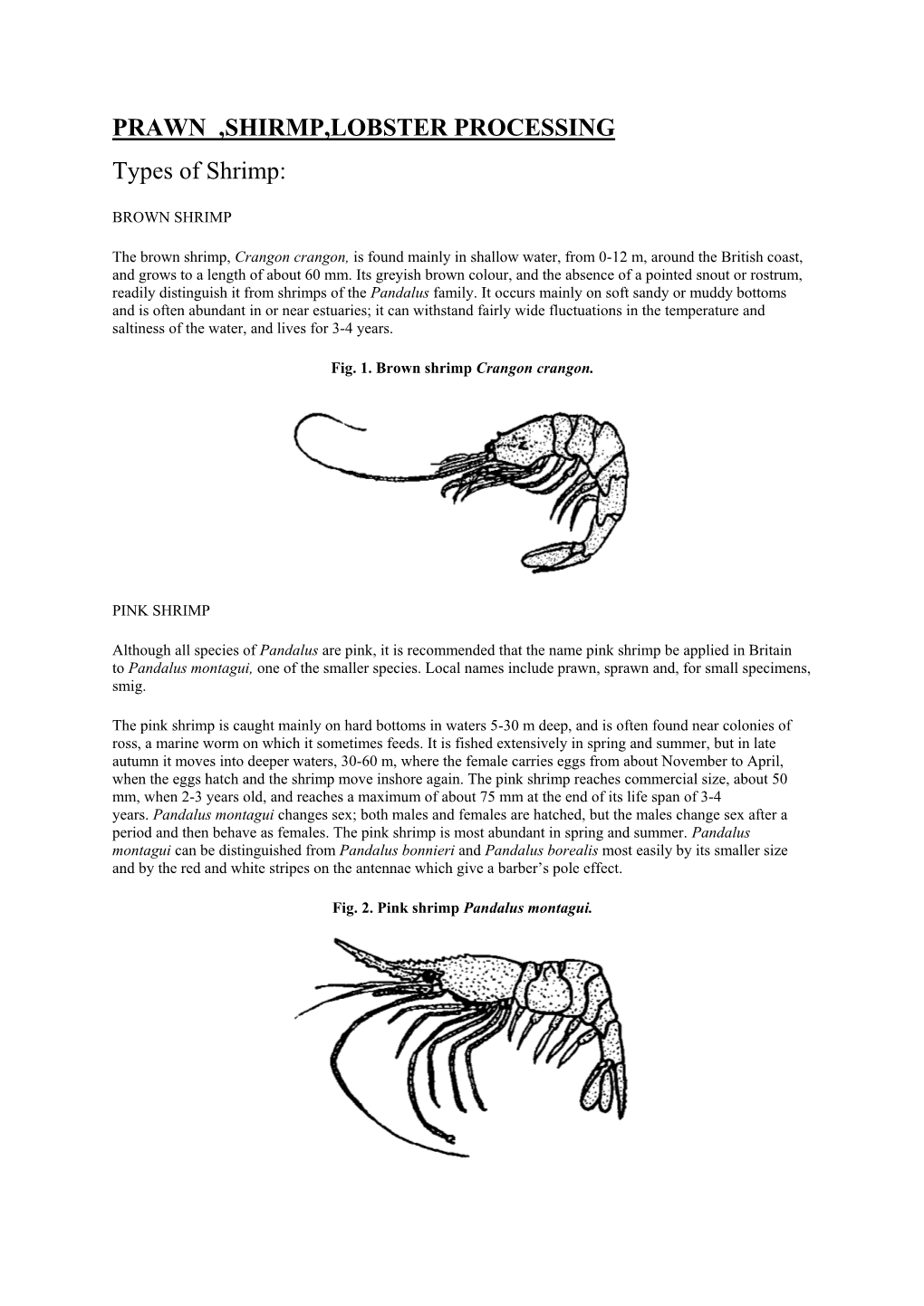 PRAWN ,SHIRMP,LOBSTER PROCESSING Types of Shrimp