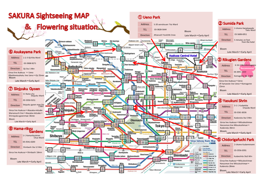 Address TEL Direction Late March～Early April Address TEL Direction Bloom Address TEL Direction Address TEL Direction Bloom