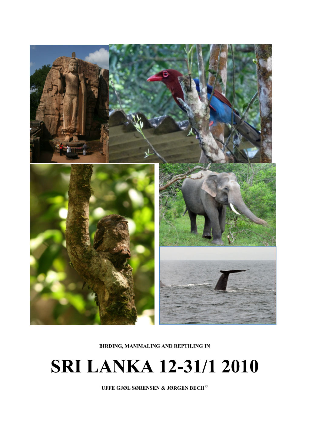 Sri Lanka, 2010