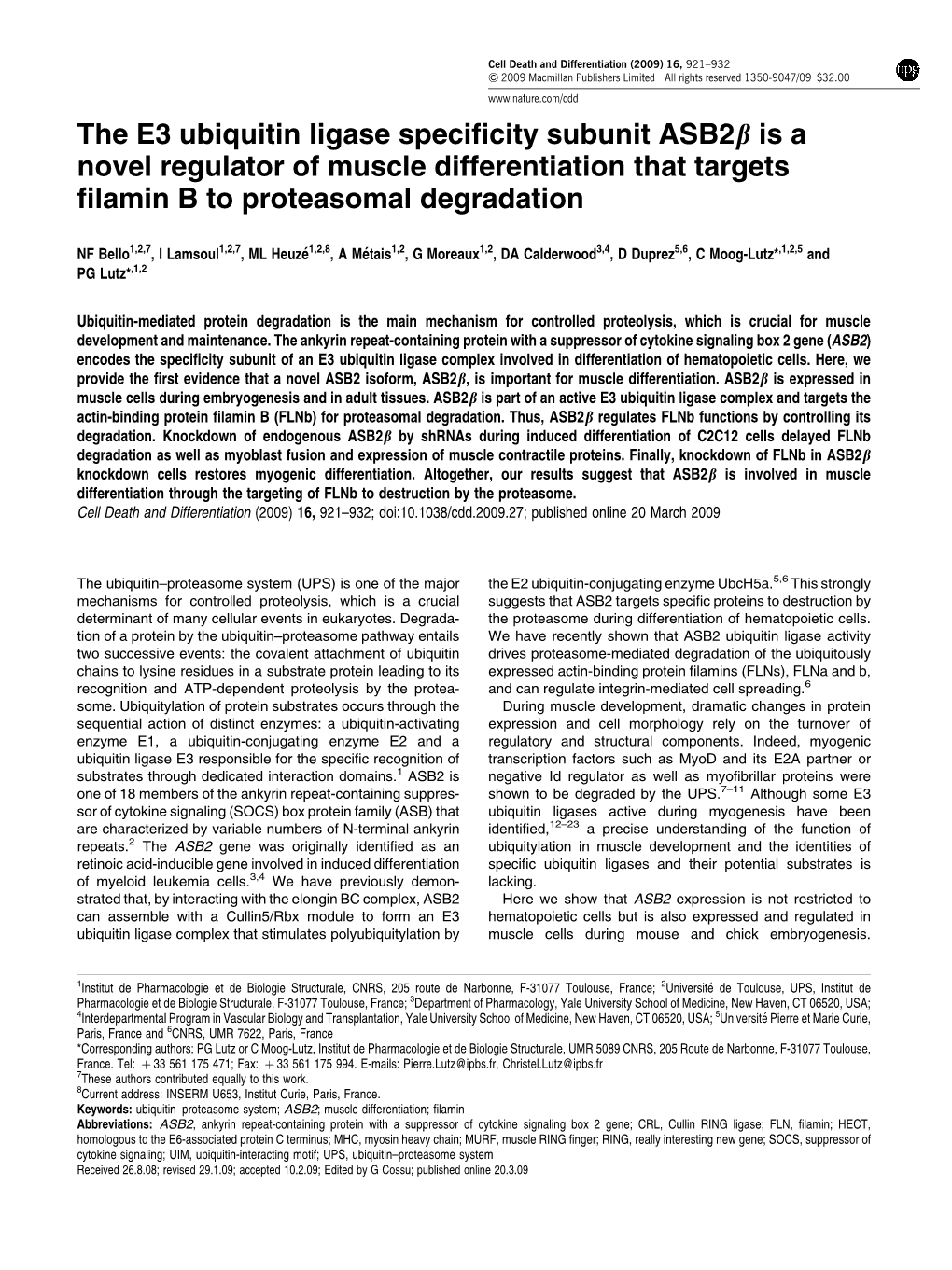 The E3 Ubiquitin Ligase Specificity Subunit ASB2Β Is a Novel Regulator of Muscle Differentiation That Targets Filamin B