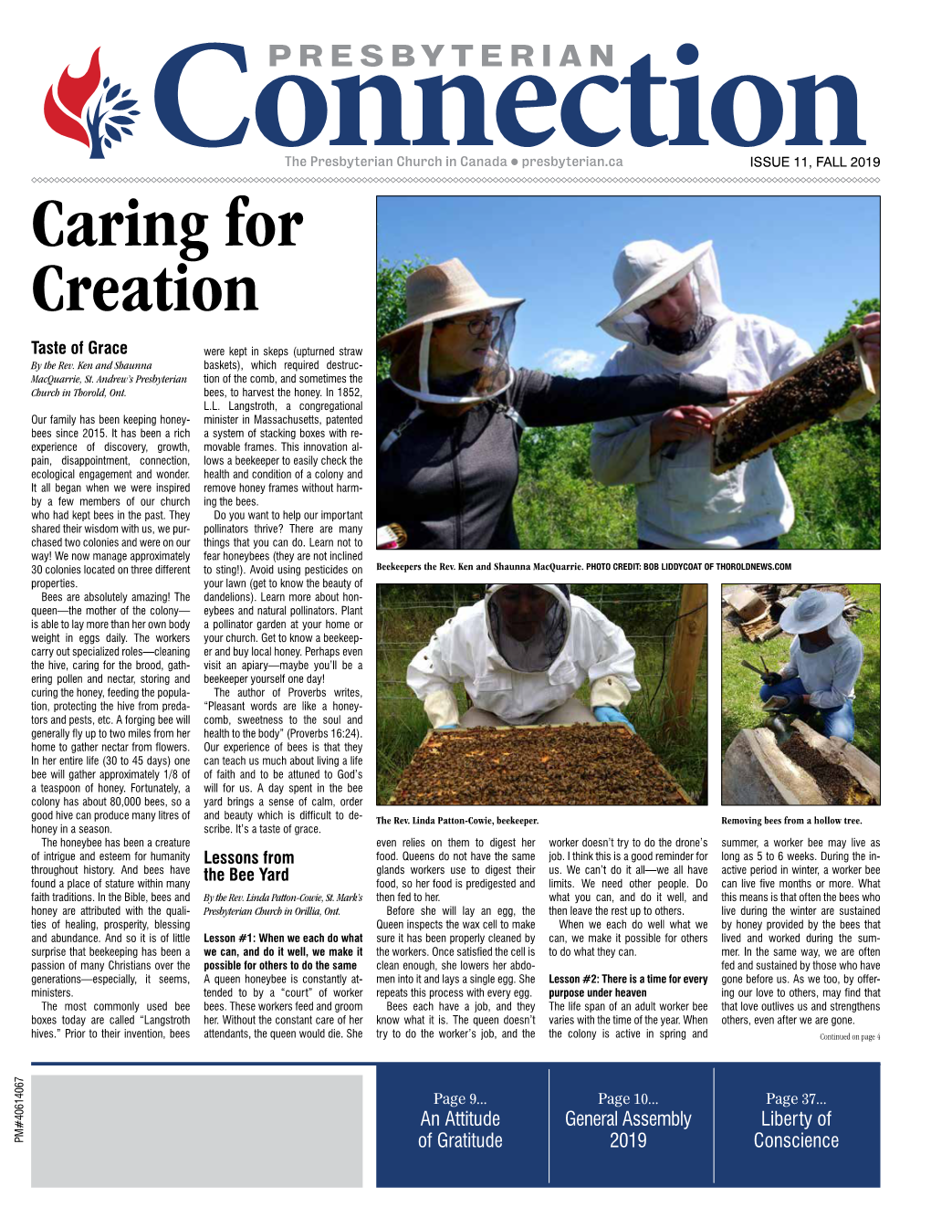 Caring for Creation