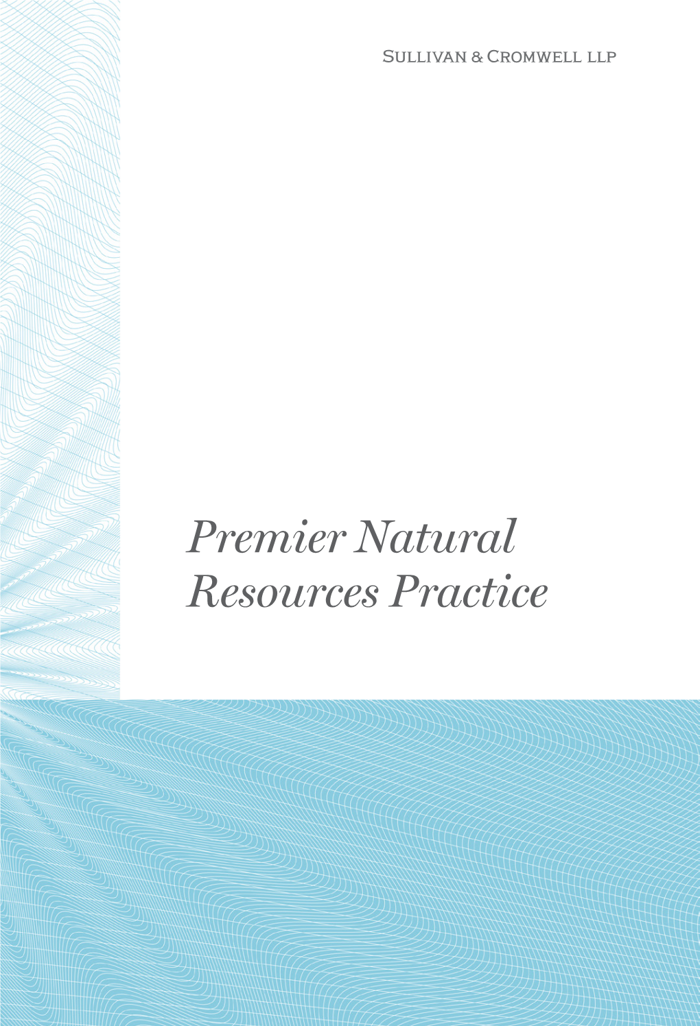 Premier Natural Resources Practice “They Go to Great Lengths to Understand Your Industry, Business and Specific Objectives