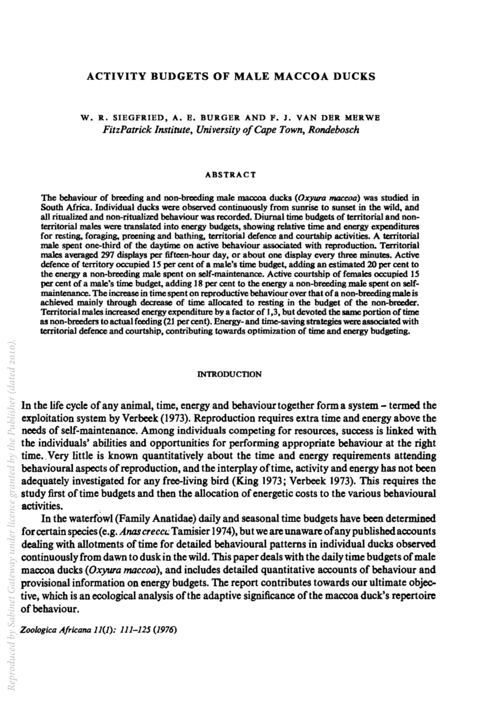 ACTIVITY BUDGETS of MALE MACCOA DUCKS Fitzpatrick