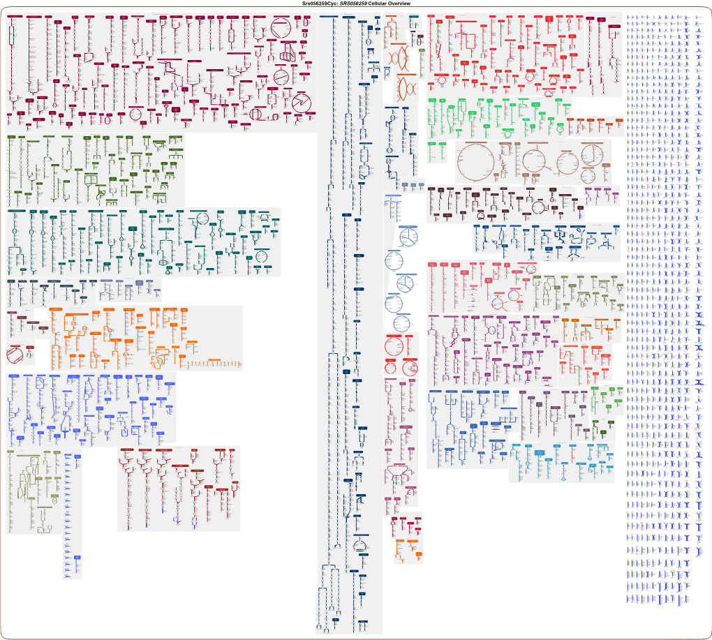 This Diagram Was Automatically Generated by SRI International Pathway Tools Version 19.0, Authors S. Paley and P.D. Karp