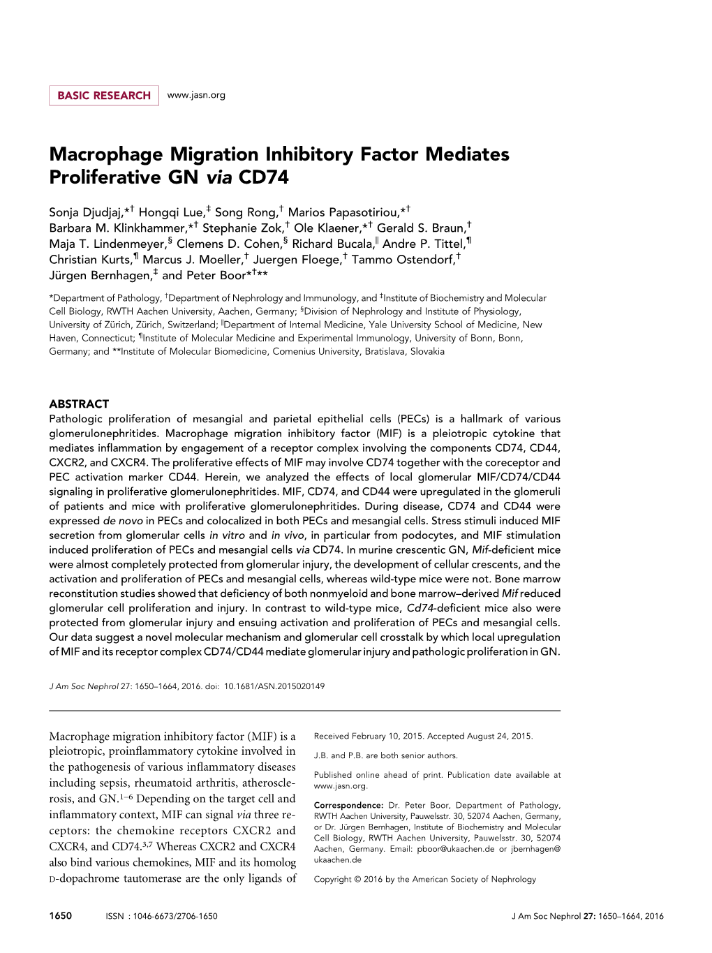 Macrophage Migration Inhibitory Factor Mediates Proliferative GN Via CD74