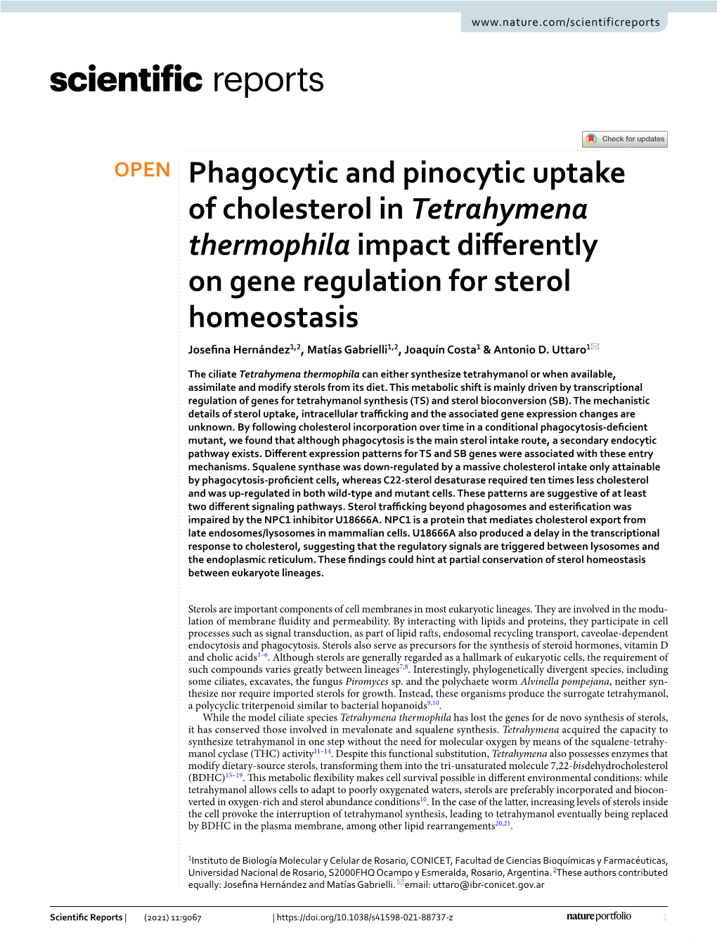 Phagocytic and Pinocytic Uptake of Cholesterol in Tetrahymena