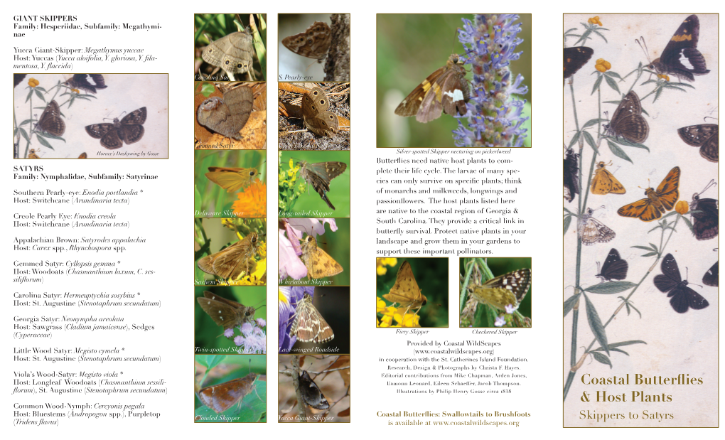 Coastal Butterflies & Host Plants