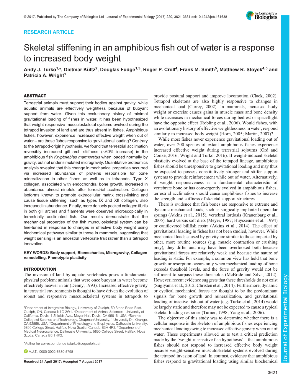 Skeletal Stiffening in an Amphibious Fish out of Water Is a Response to Increased Body Weight Andy J